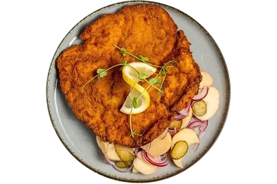 oriasbecsi_cropped_transparent Large