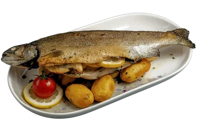 pisztrang_cropped_transparent Large pisztrang_cropped_transparent Large